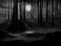 Shadows of the moon - 5. kapitola